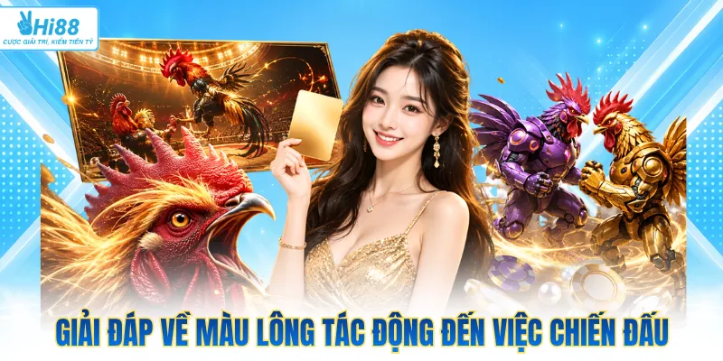 Giải đáp về màu lông tác động đến việc chiến đấu