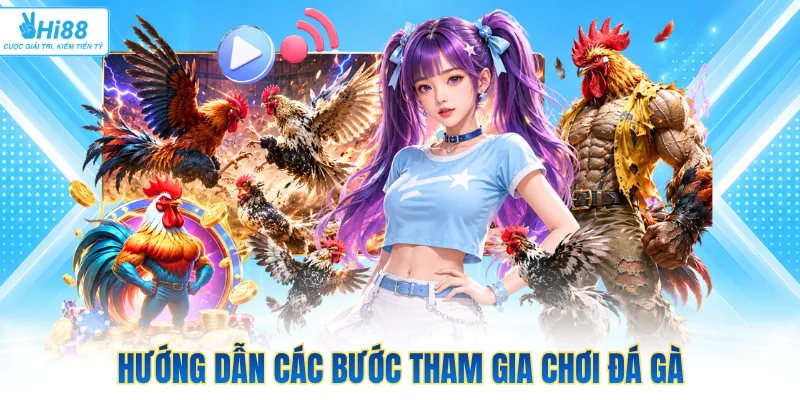 Hướng dẫn các bước tham gia chơi đá gà