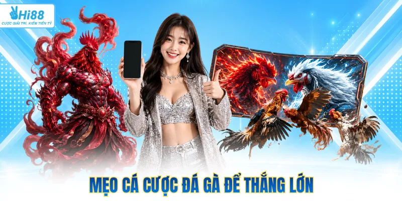 Mẹo cá cược đá gà để thắng lớn