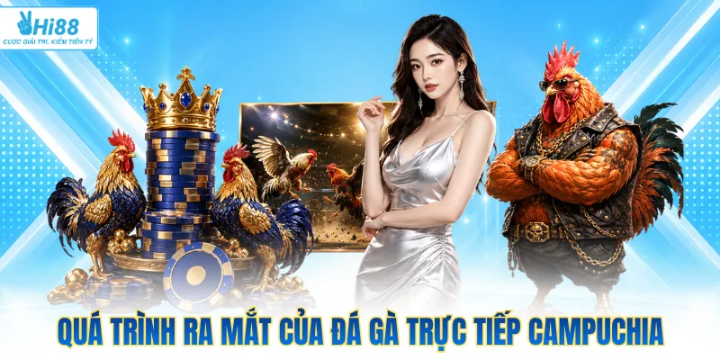 Quá trình ra mắt của đá gà trực tiếp Campuchia