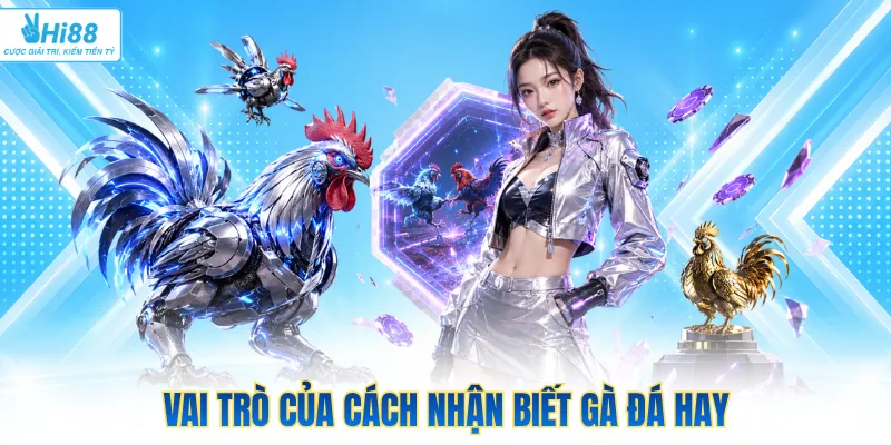 Vai trò của cách nhận biết gà đá hay
